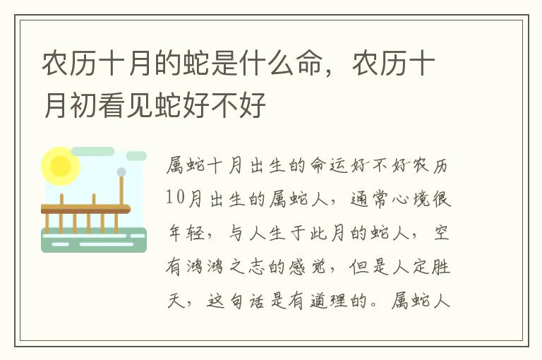 农历十月的蛇是什么命，农历十月初看见蛇好不好