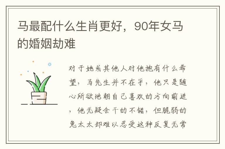 马最配什么生肖更好，90年女马的婚姻劫难