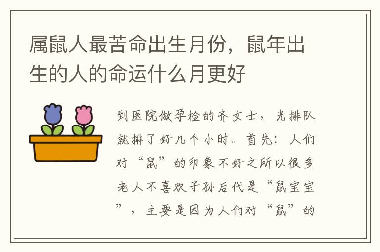 属鼠人最苦命出生月份，鼠年出生的人的命运什么月更好