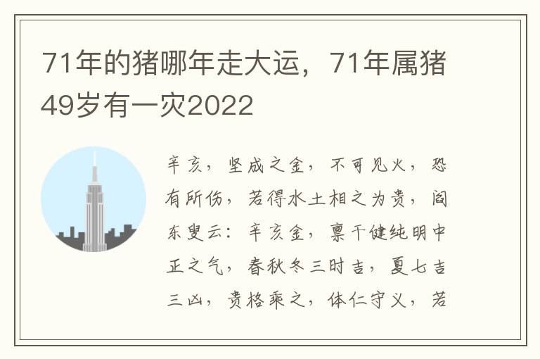 71年的猪哪年走大运，71年属猪49岁有一灾2022