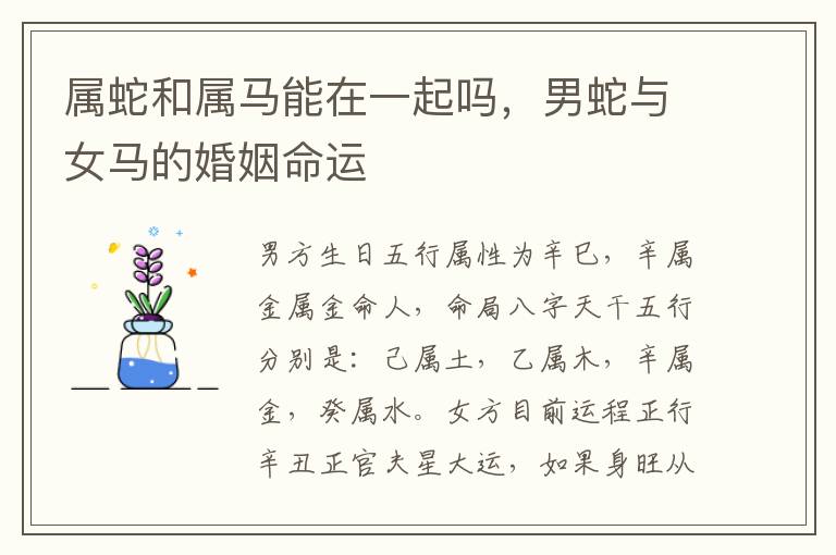属蛇和属马能在一起吗，男蛇与女马的婚姻命运
