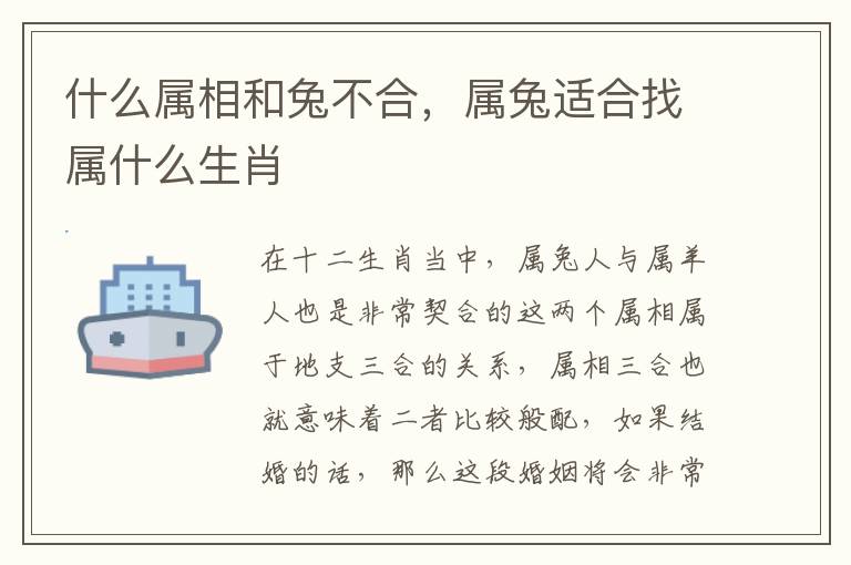 什么属相和兔不合，属兔适合找属什么生肖