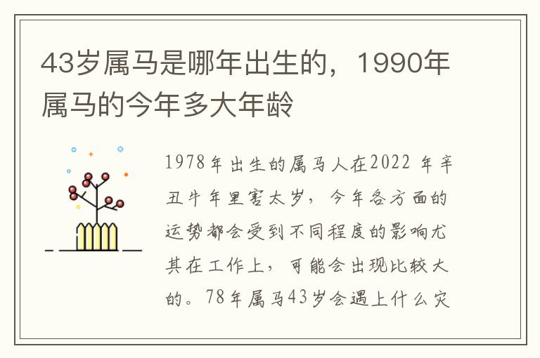 43岁属马是哪年出生的，1990年属马的今年多大年龄