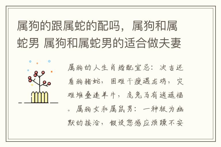 属狗的跟属蛇的配吗，属狗和属蛇男 属狗和属蛇男的适合做夫妻吗