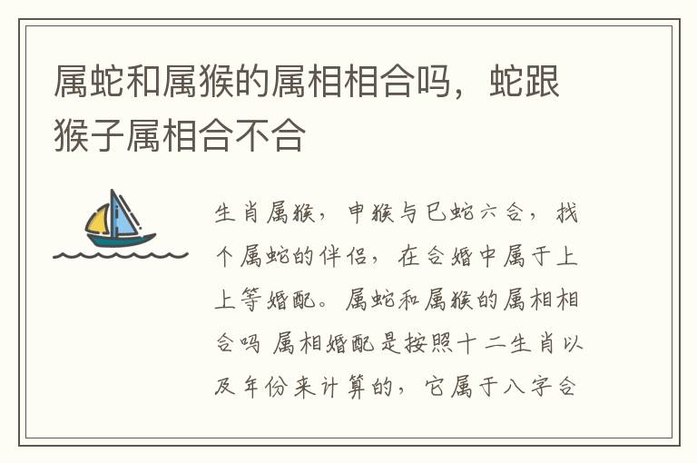 属蛇和属猴的属相相合吗，蛇跟猴子属相合不合