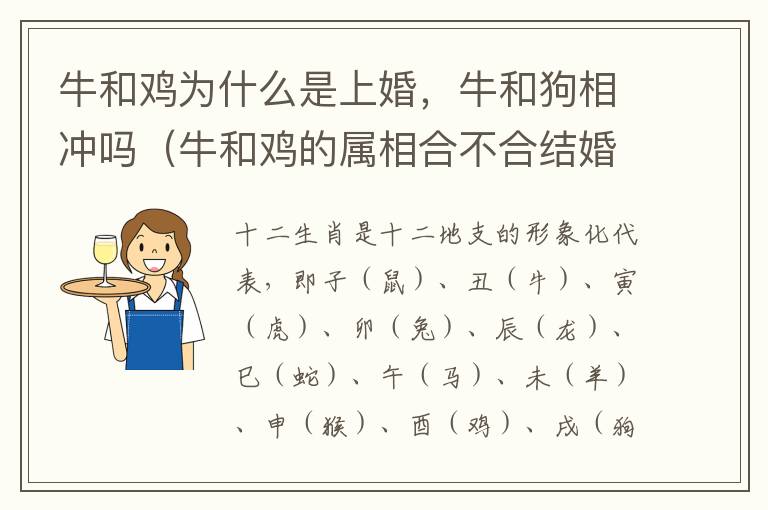 牛和鸡为什么是上婚，牛和狗相冲吗（牛和鸡的属相合不合结婚）