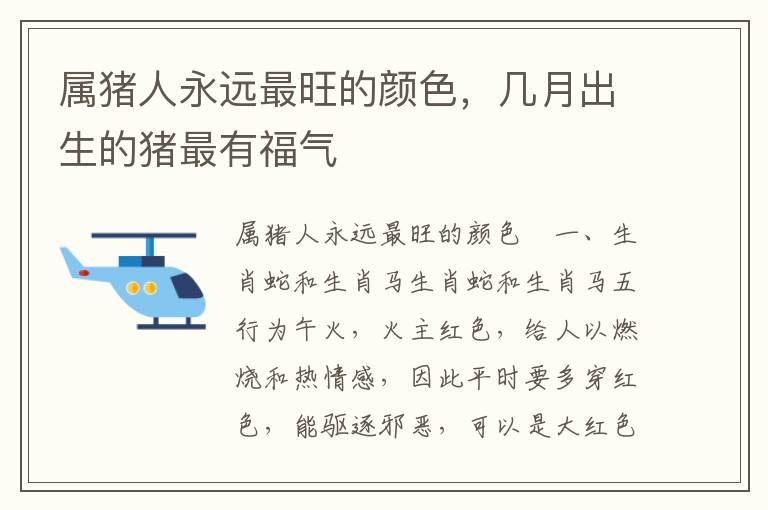 属猪人永远最旺的颜色，几月出生的猪最有福气