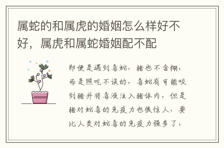属蛇的和属虎的婚姻怎么样好不好，属虎和属蛇婚姻配不配