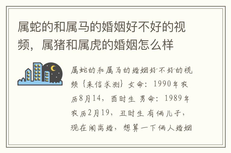 属蛇的和属马的婚姻好不好的视频，属猪和属虎的婚姻怎么样