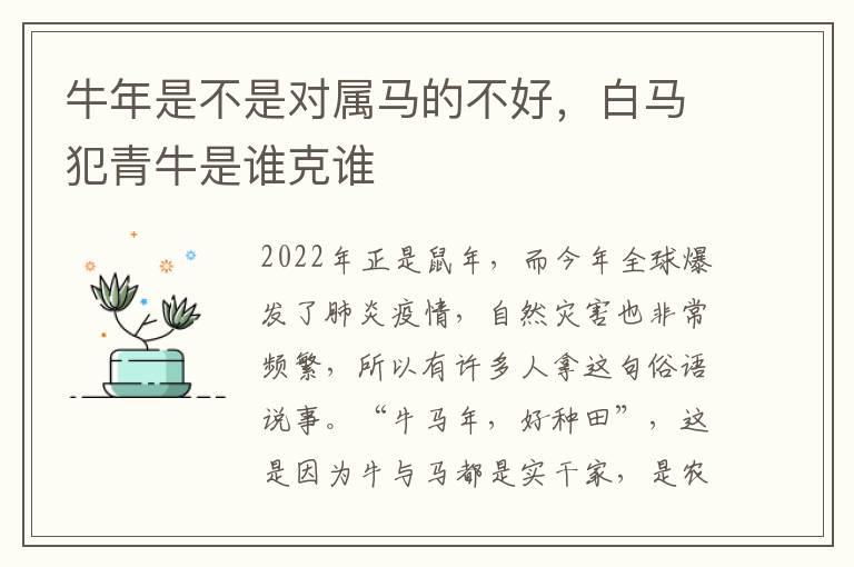 牛年是不是对属马的不好，白马犯青牛是谁克谁