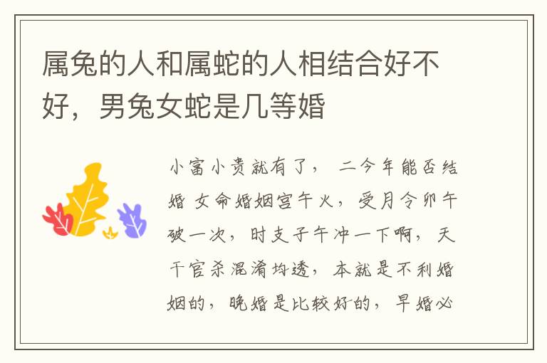 属兔的人和属蛇的人相结合好不好，男兔女蛇是几等婚