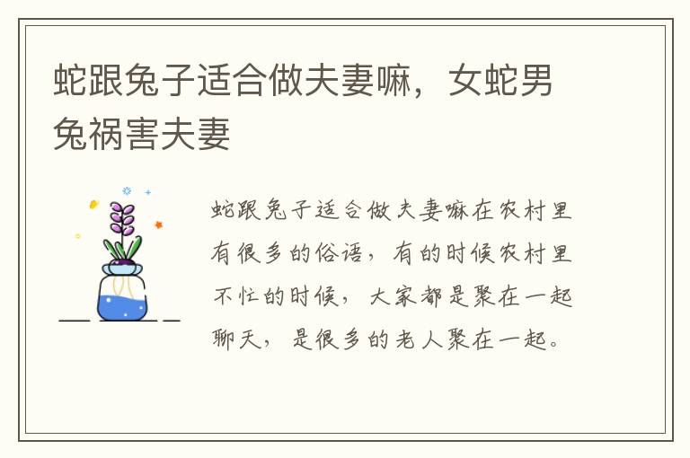 蛇跟兔子适合做夫妻嘛，女蛇男兔祸害夫妻