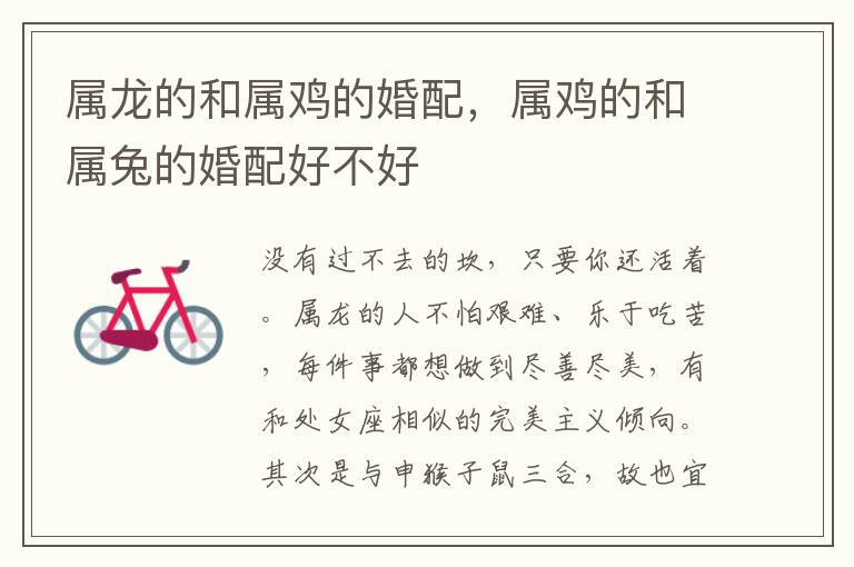 属龙的和属鸡的婚配，属鸡的和属兔的婚配好不好