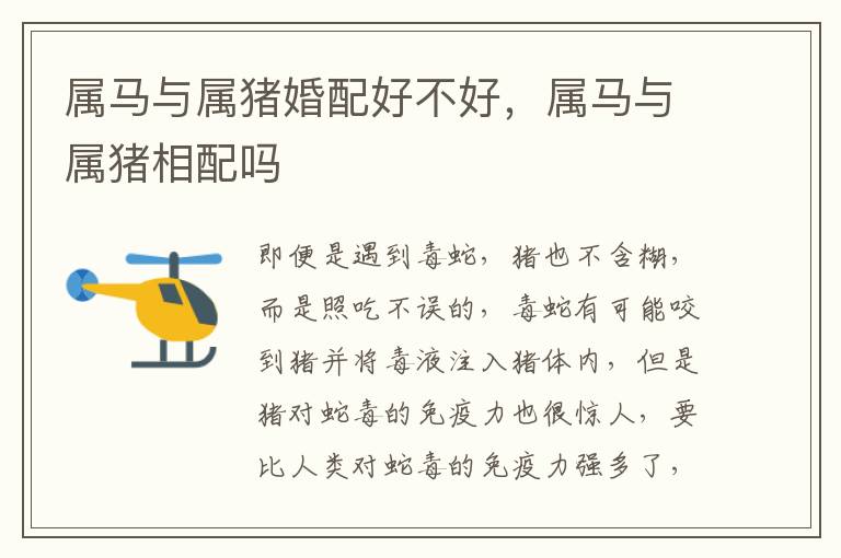 属马与属猪婚配好不好，属马与属猪相配吗