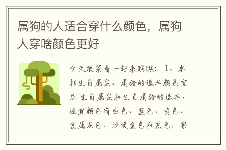 属狗的人适合穿什么颜色，属狗人穿啥颜色更好