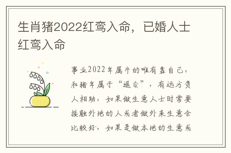 生肖猪2022红鸾入命，已婚人士红鸾入命