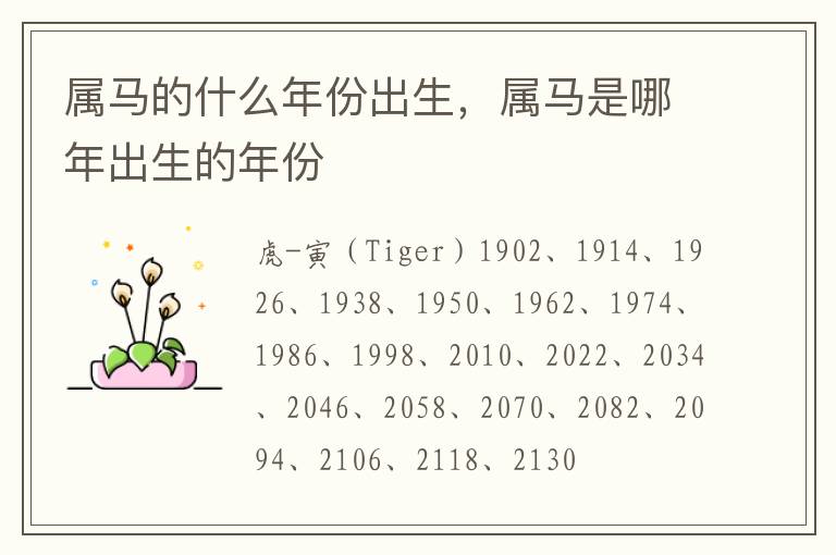 属马的什么年份出生，属马是哪年出生的年份