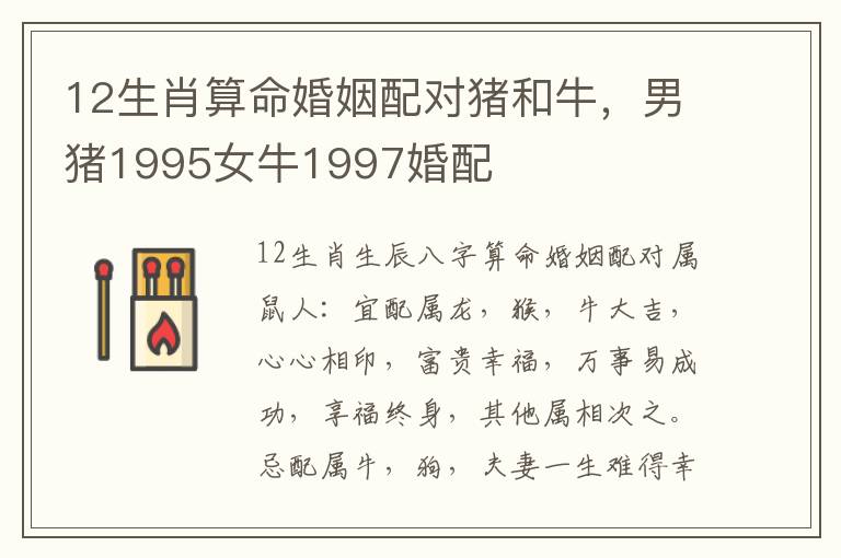 12生肖算命婚姻配对猪和牛，男猪1995女牛1997婚配