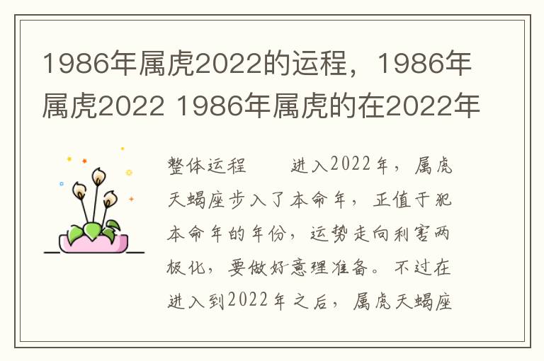 1986年属虎2022的运程，1986年属虎2022 1986年属虎的在2022年的运程