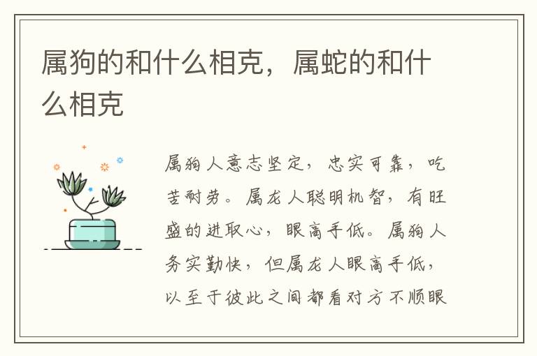 属狗的和什么相克，属蛇的和什么相克