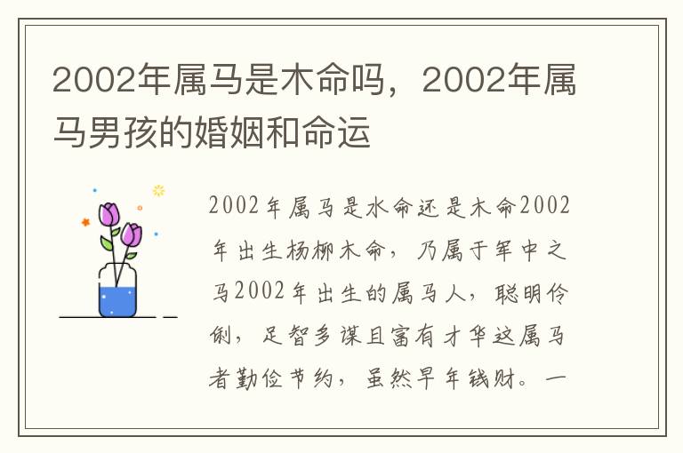 2002年属马是木命吗，2002年属马男孩的婚姻和命运