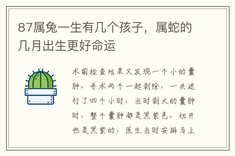 87属兔一生有几个孩子，属蛇的几月出生更好命运