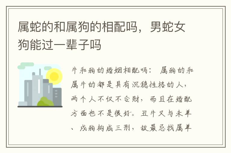 属蛇的和属狗的相配吗，男蛇女狗能过一辈子吗