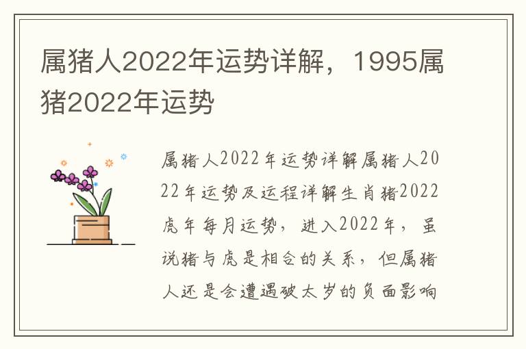 属猪人2022年运势详解，1995属猪2022年运势