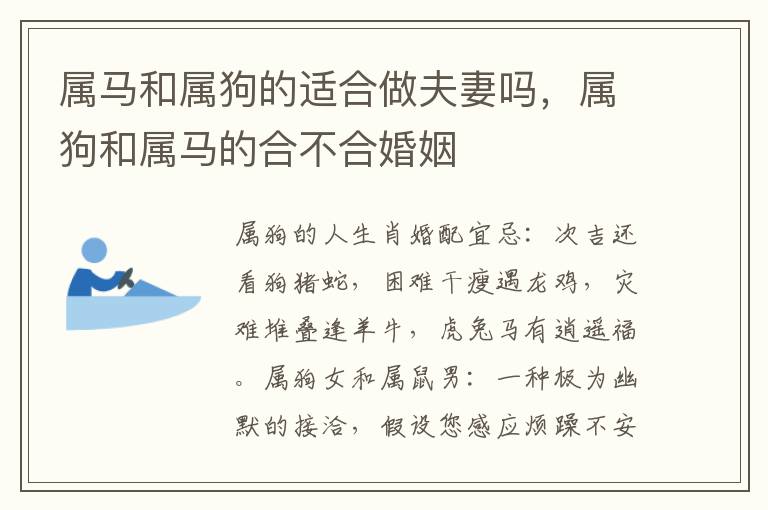 属马和属狗的适合做夫妻吗，属狗和属马的合不合婚姻