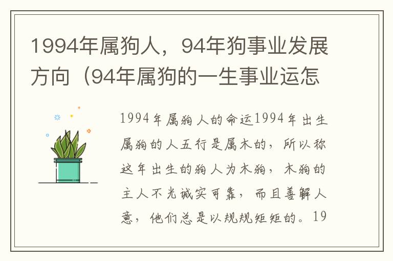 1994年属狗人，94年狗事业发展方向（94年属狗的一生事业运怎么样）