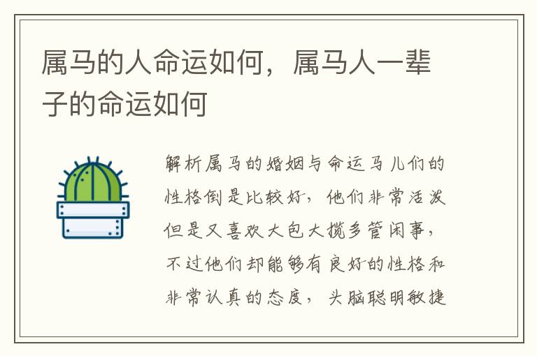 属马的人命运如何，属马人一辈子的命运如何