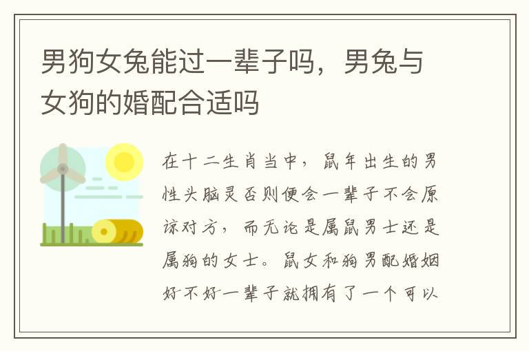 男狗女兔能过一辈子吗，男兔与女狗的婚配合适吗