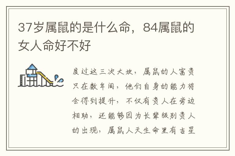 37岁属鼠的是什么命，84属鼠的女人命好不好