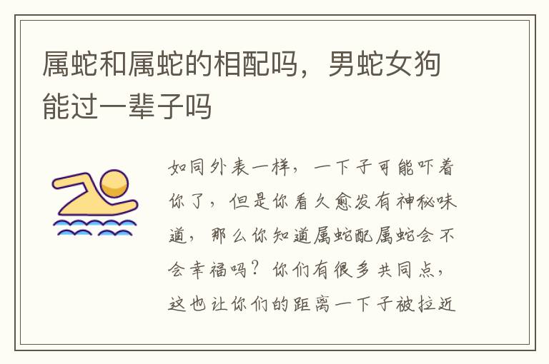 属蛇和属蛇的相配吗，男蛇女狗能过一辈子吗