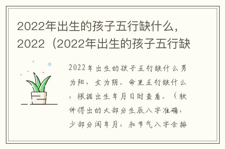 2022年出生的孩子五行缺什么，2022（2022年出生的孩子五行缺什么）