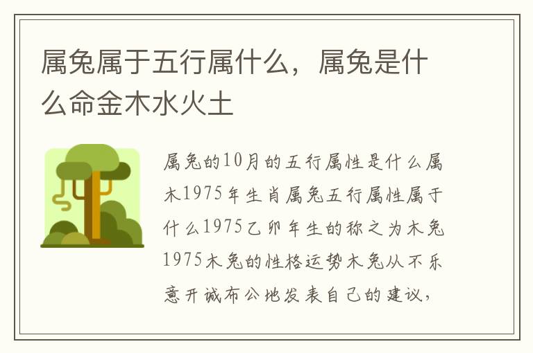 属兔属于五行属什么，属兔是什么命金木水火土