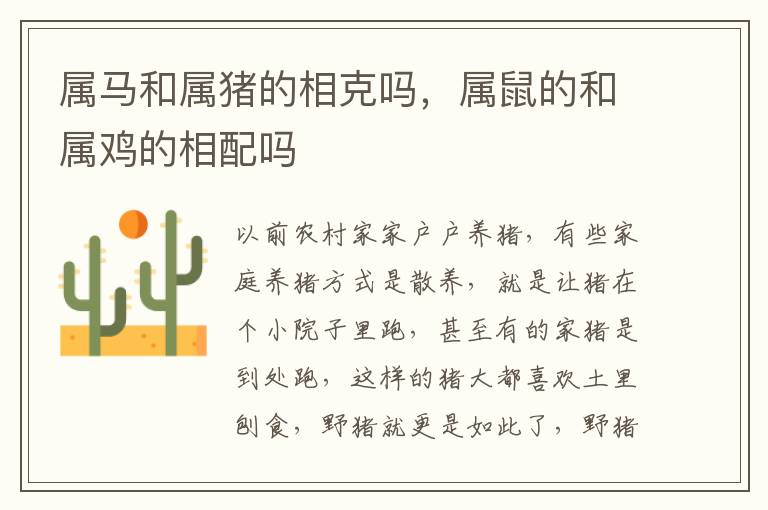 属马和属猪的相克吗，属鼠的和属鸡的相配吗