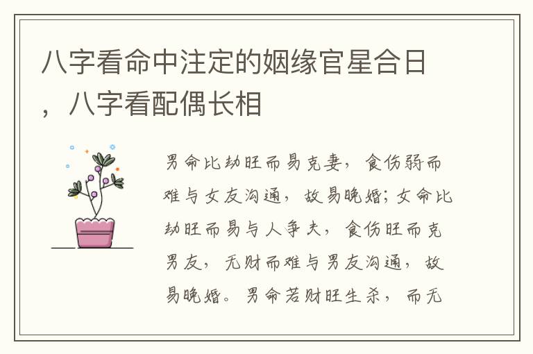 八字看命中注定的姻缘官星合日，八字看配偶长相