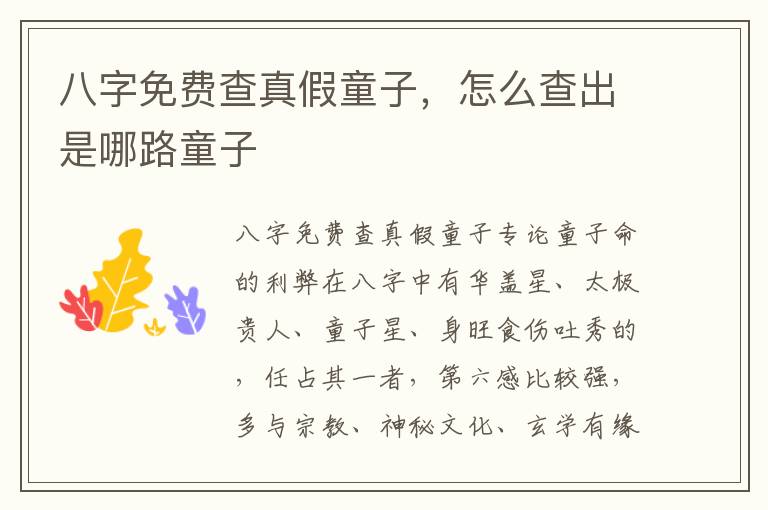 八字免费查真假童子，怎么查出是哪路童子