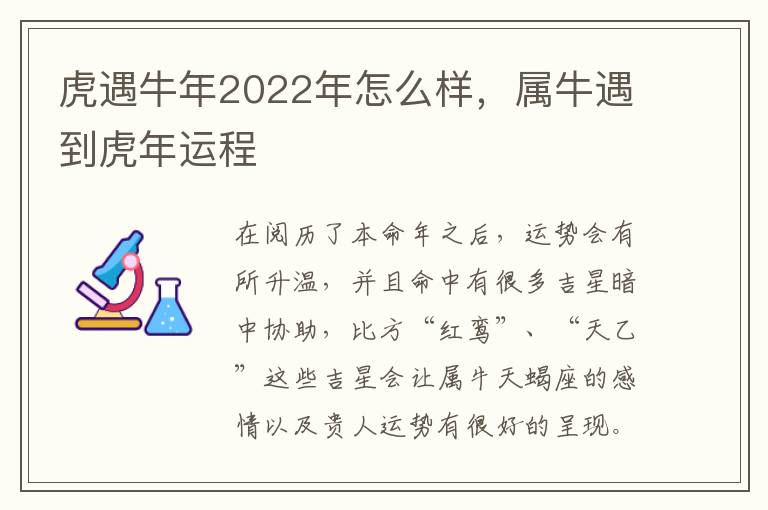 虎遇牛年2022年怎么样，属牛遇到虎年运程