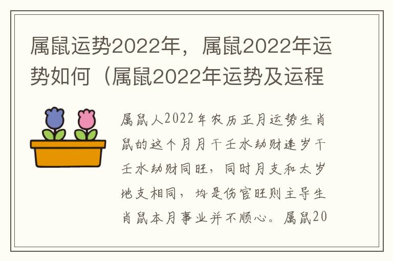 属鼠运势2022年，属鼠2022年运势如何（属鼠2022年运势及运程-2022年属鼠人的全年每月运势）