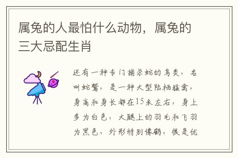 属兔的人最怕什么动物，属兔的三大忌配生肖