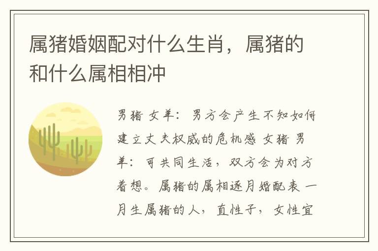 属猪婚姻配对什么生肖，属猪的和什么属相相冲