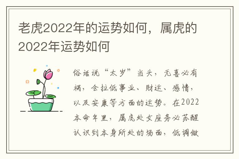 老虎2022年的运势如何，属虎的2022年运势如何