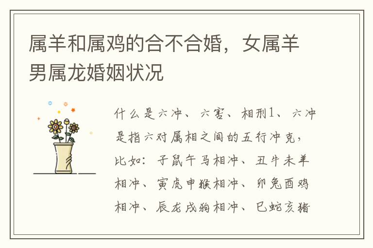 属羊和属鸡的合不合婚，女属羊男属龙婚姻状况
