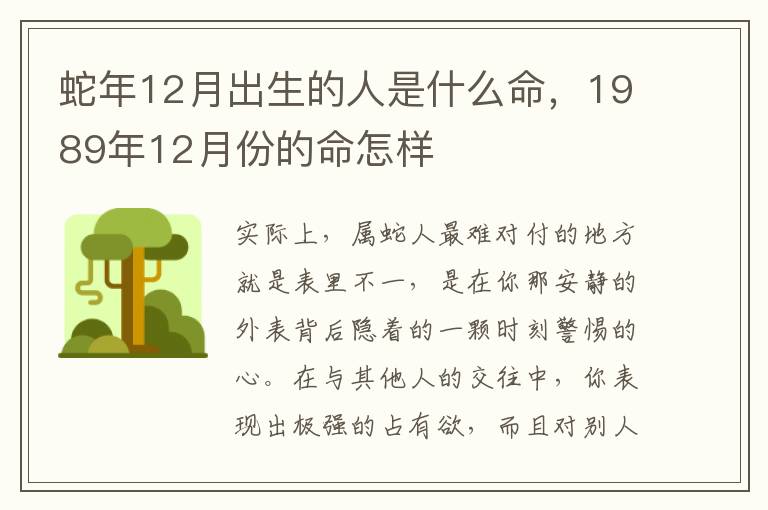 蛇年12月出生的人是什么命，1989年12月份的命怎样