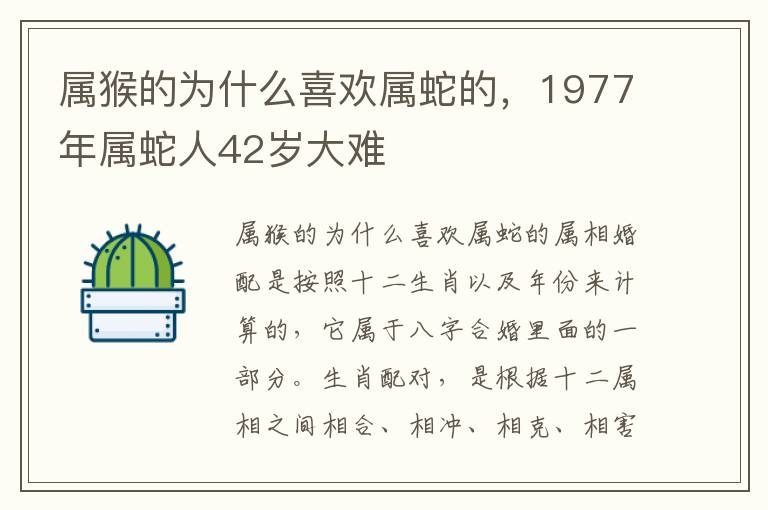 属猴的为什么喜欢属蛇的，1977年属蛇人42岁大难