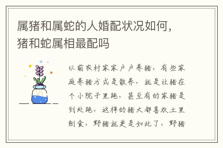 属猪和属蛇的人婚配状况如何，猪和蛇属相最配吗
