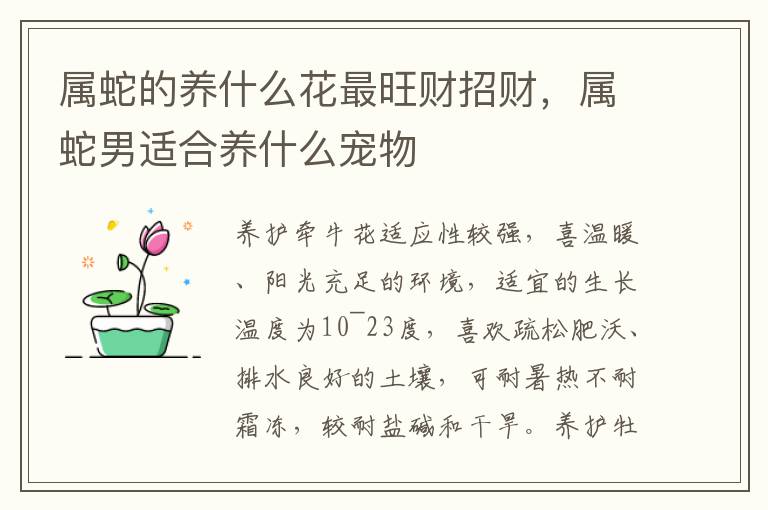 属蛇的养什么花最旺财招财，属蛇男适合养什么宠物