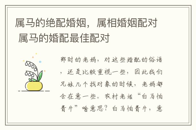 属马的绝配婚姻，属相婚姻配对 属马的婚配最佳配对
